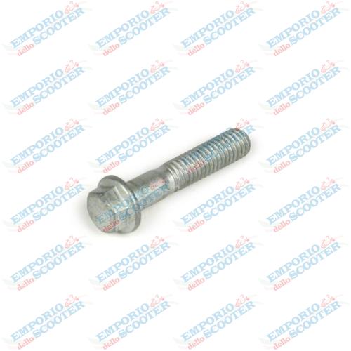 VITE COPERCHIO CARTER TRASMISSIONE GTS (M6X30mm)
