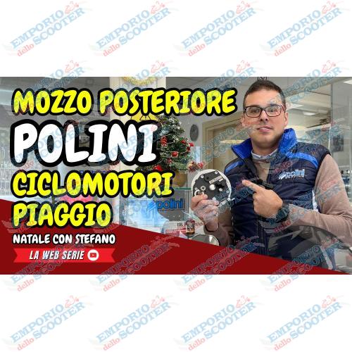 KIT CARTER POLINI MOZZO POSTERIORE PIAGGIO CICLOMOTORE CON VARIATORE