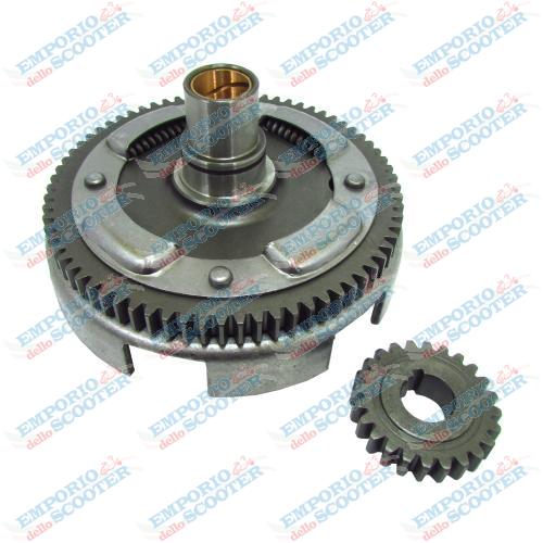 RAPPORT PRIMAIRE  72-24 / PIGNONNERIE DROITE PRIMAIRE 72–24 (RAPPORT 3,00)