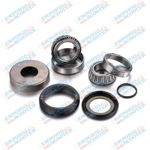 Kit de cojinetes de direcciÃ³n SHERCO '25