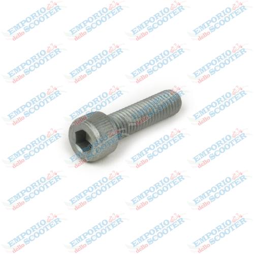 VITE CERCHIO VESPA ET2 ET4 LX S PRIMAVERA SPRINT M8X30 - MARMITTA E PINZA GTS